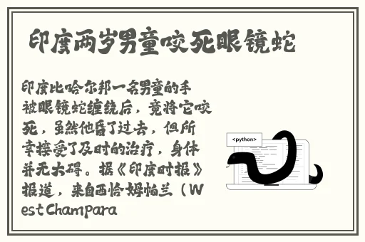 野花视频在线观看最新